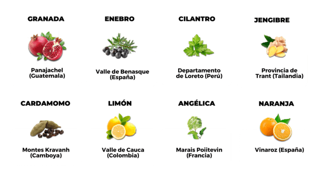 Botánicos ecológicos con Granada